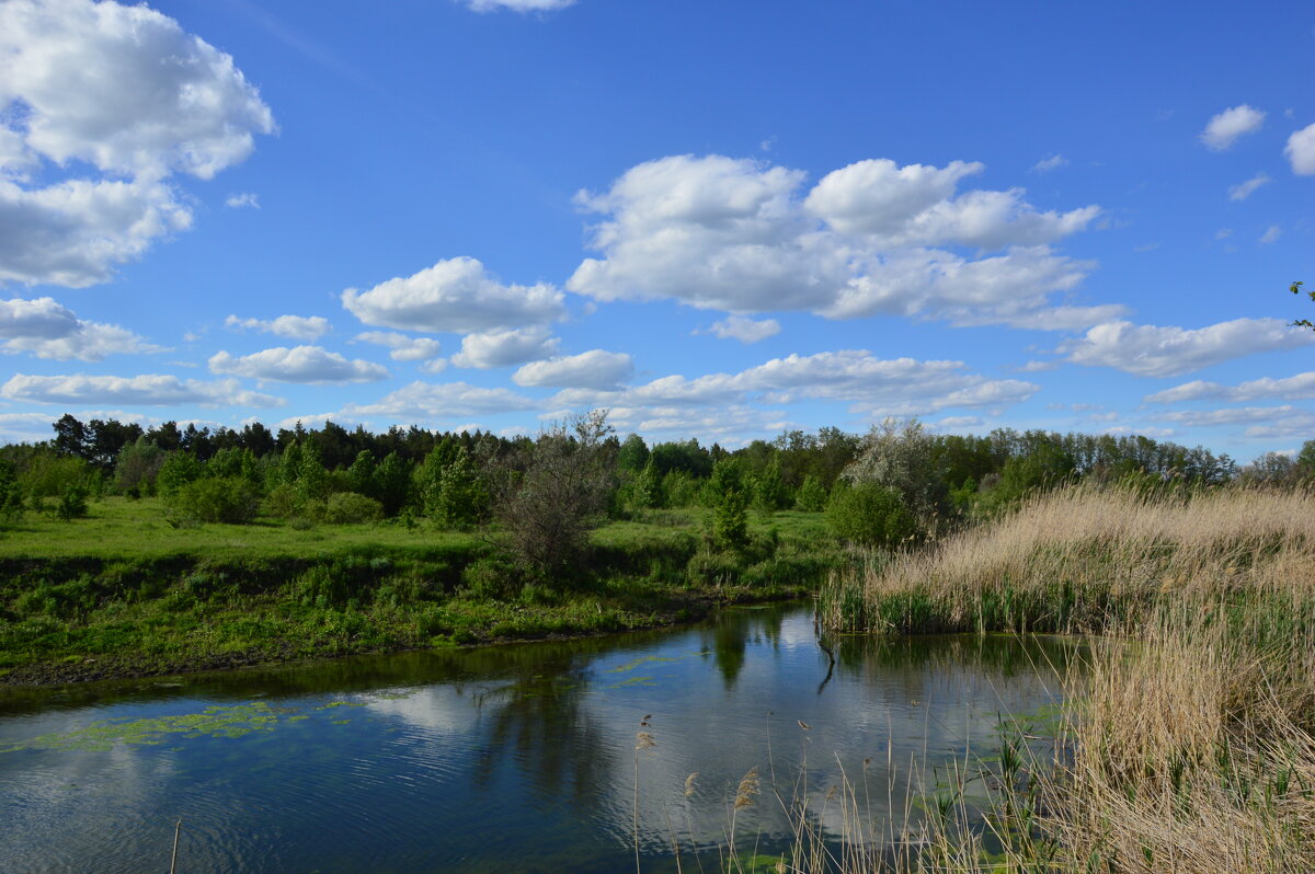 Донские зарисовки. - Виктор Донские зарисовки. - Виктор
