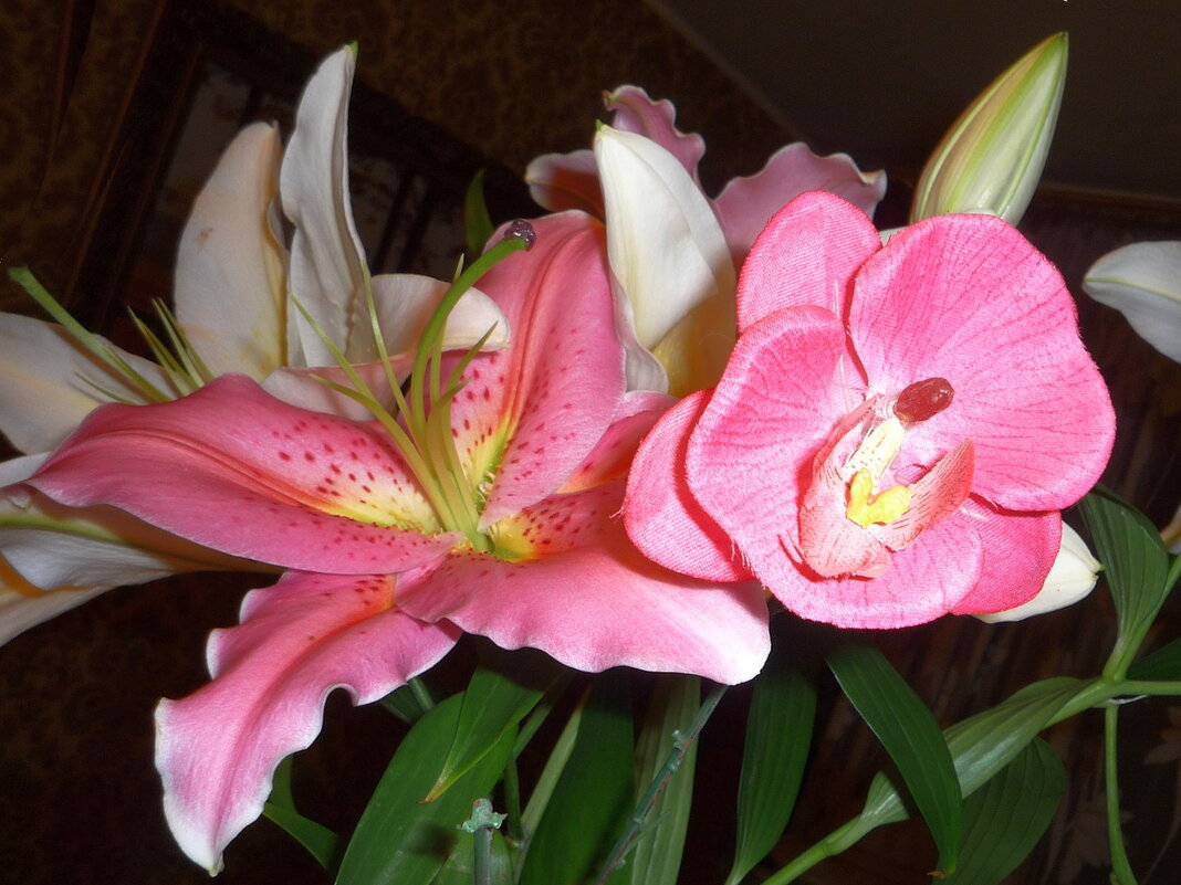 Изящны все цветы на свете - Ольга Довженко