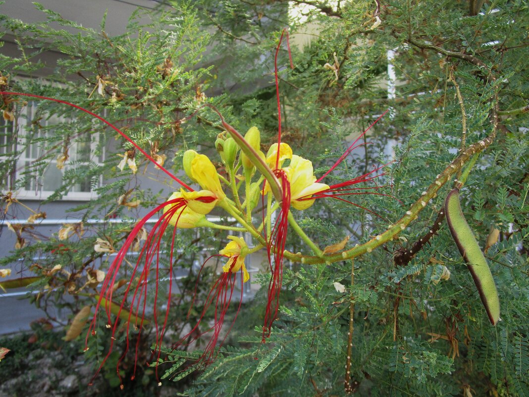 Турция - Елена Шаламова Турция - Елена Шаламова