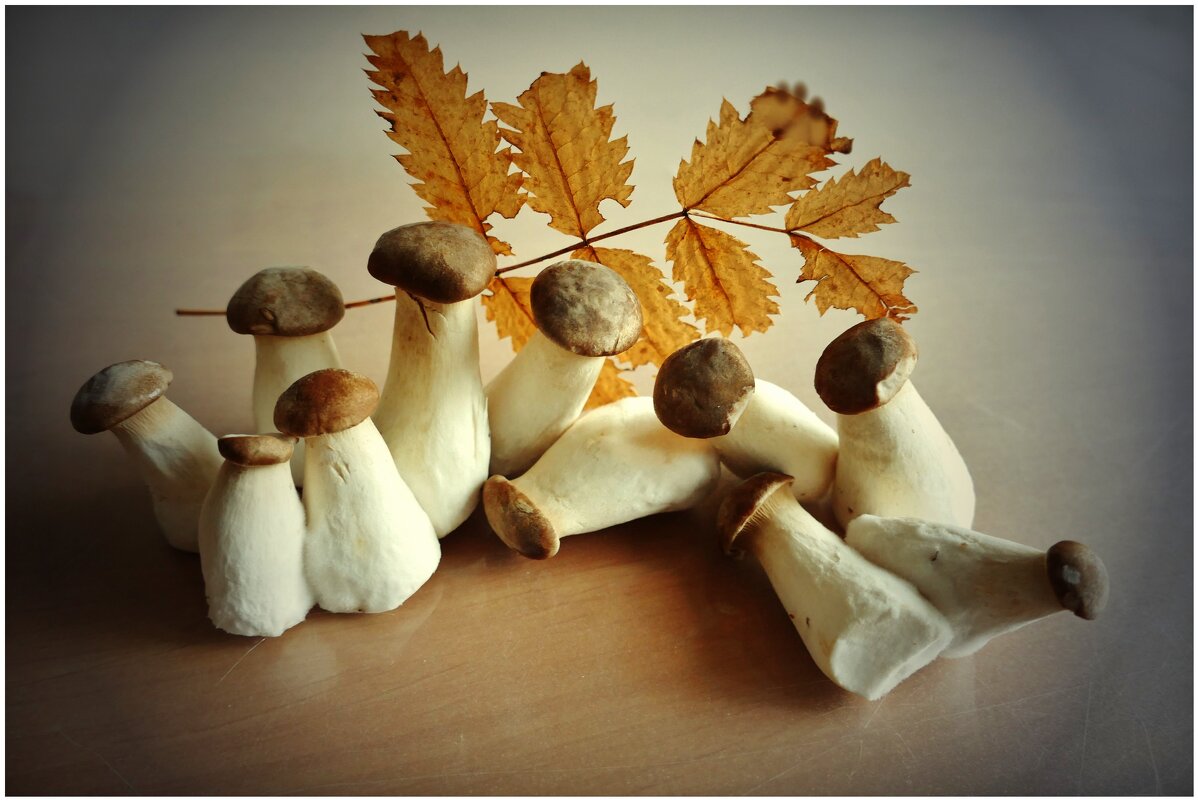 ГРИБОЧКИ... - Elvira E. ГРИБОЧКИ... - Elvira E.