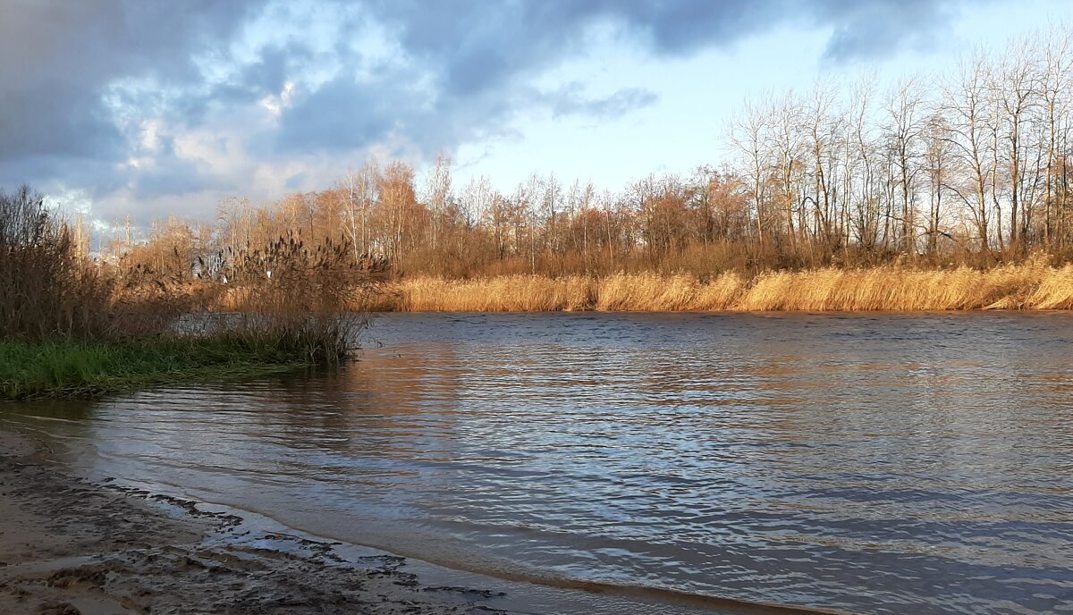 Осень 2024. Октябрь - Наталья Герасимова Осень 2024. Октябрь - Наталья Герасимова