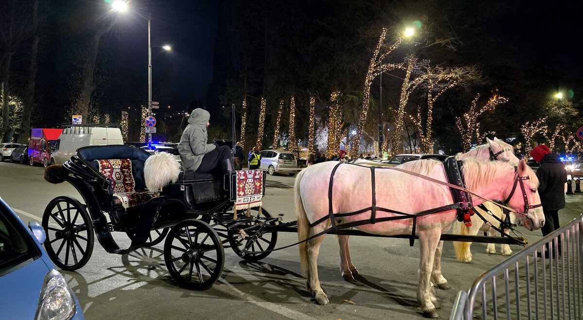 Двойка борзая стоит - Наталья (D.Nat@lia)