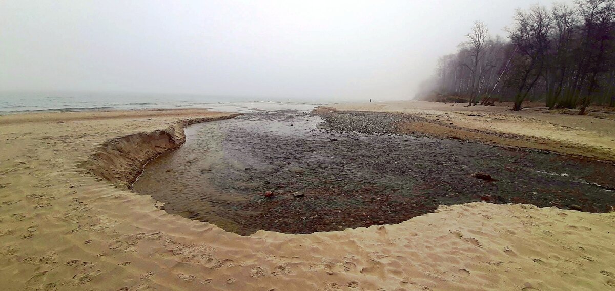 Впадающая в море - Сергей Карачин