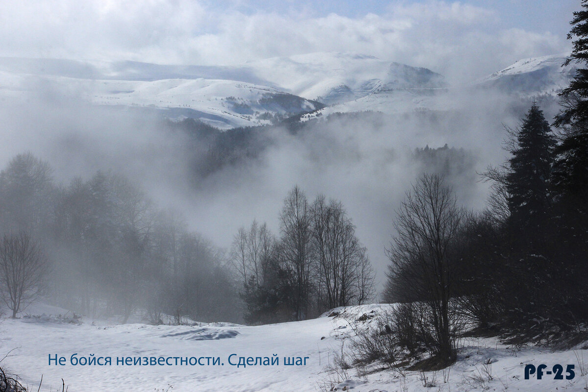 Зимнее настроение - Татьяна Сергиенко