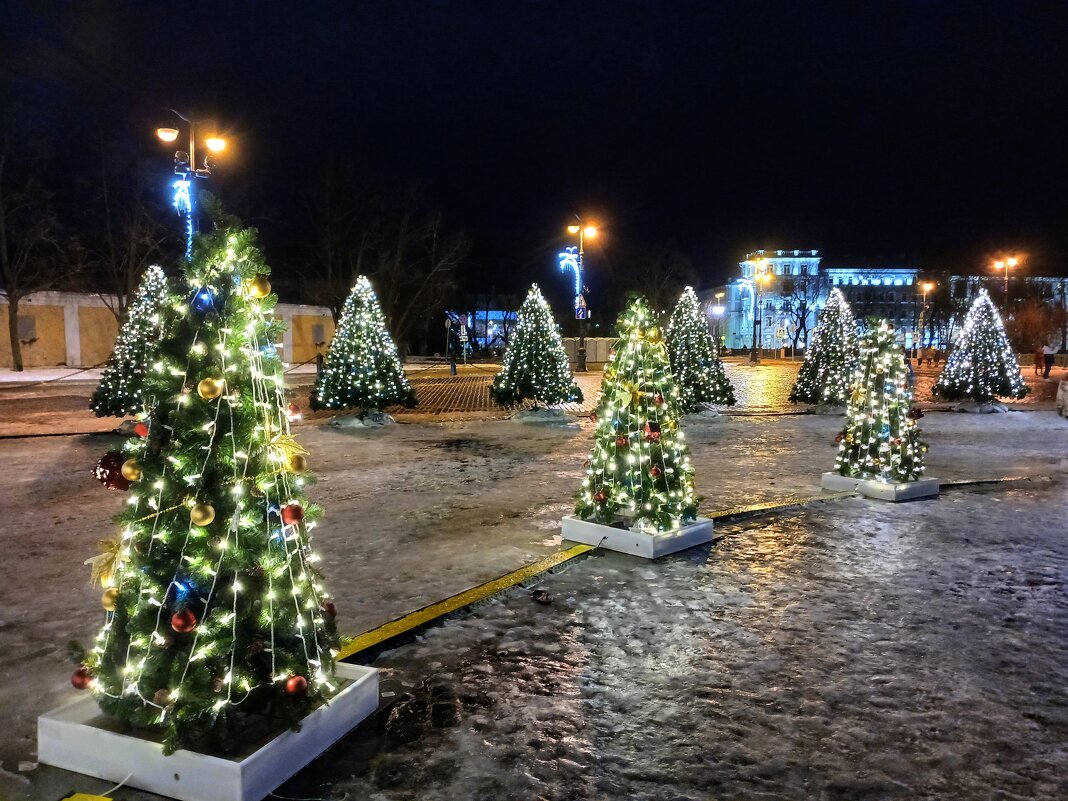 Новогодний лесок на Якорной площади. - Лия ☼