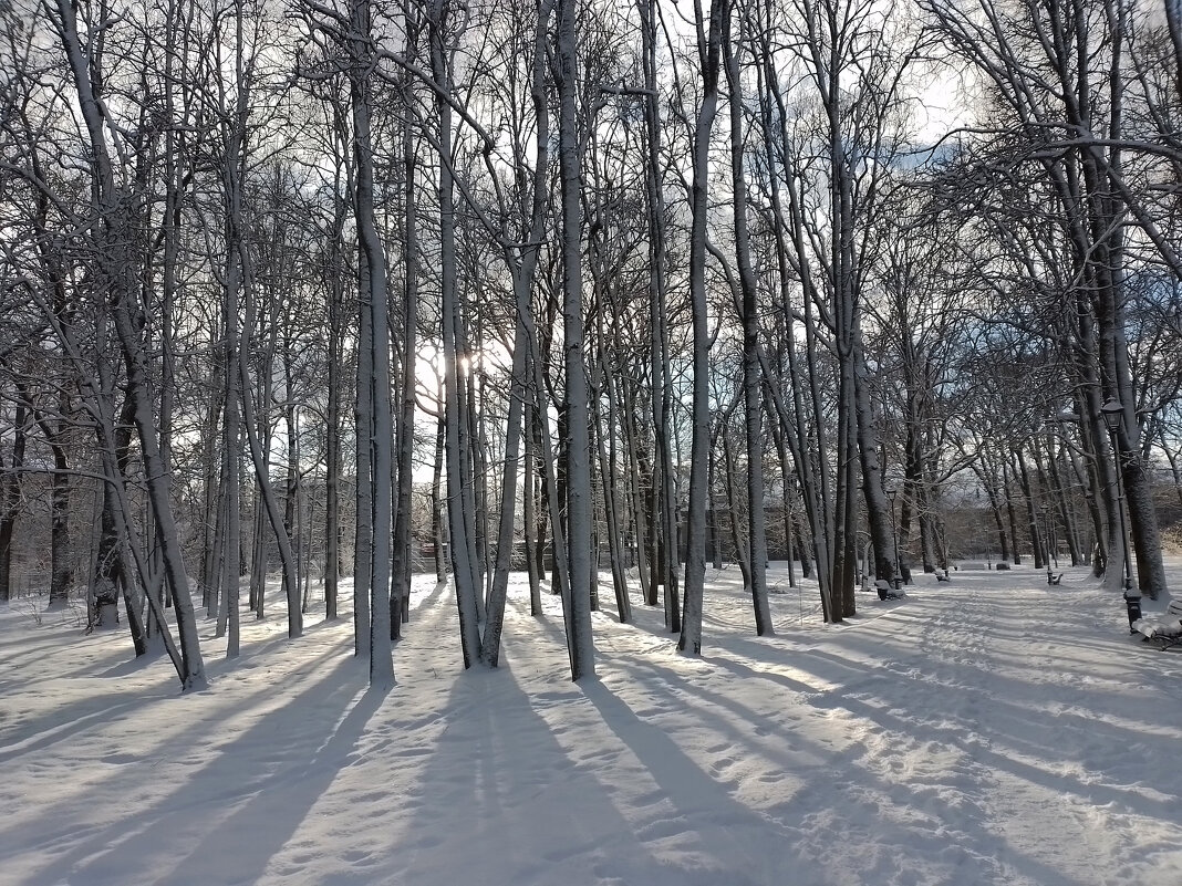 *** - Валентина Береснева