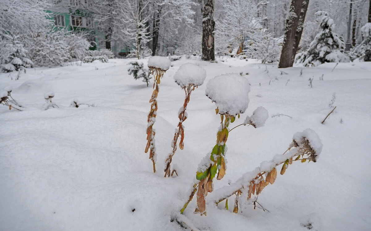 Зима в Городе - юрий поляков Зима в Городе - юрий поляков