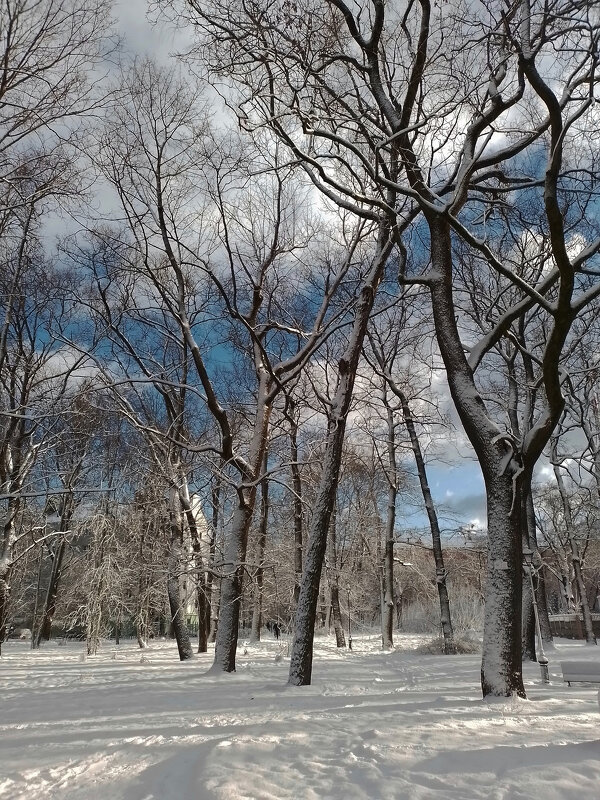 *** - Валентина Береснева