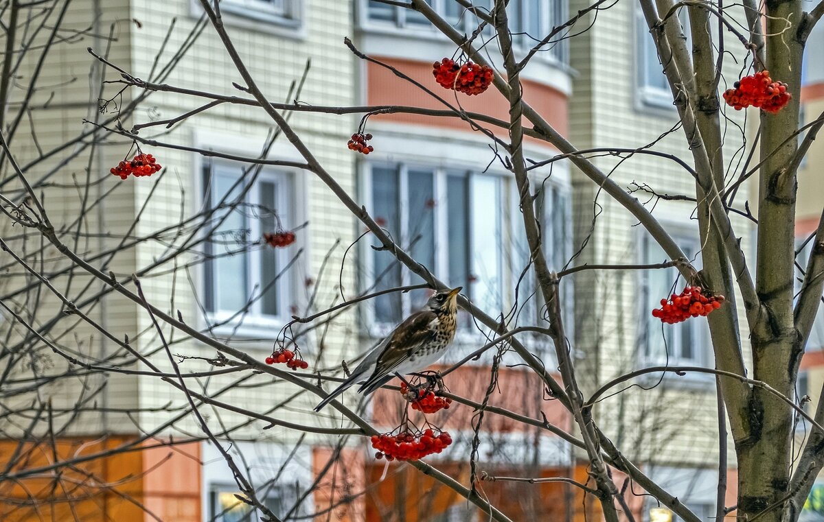 С чего начать? - Валерий Иванович