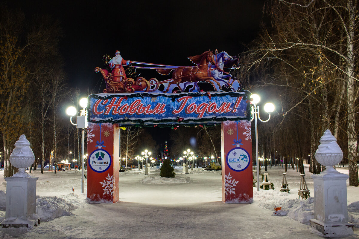 Новогодний городок в Парке культуры и отдыха Содовик - Дарья Рогозина