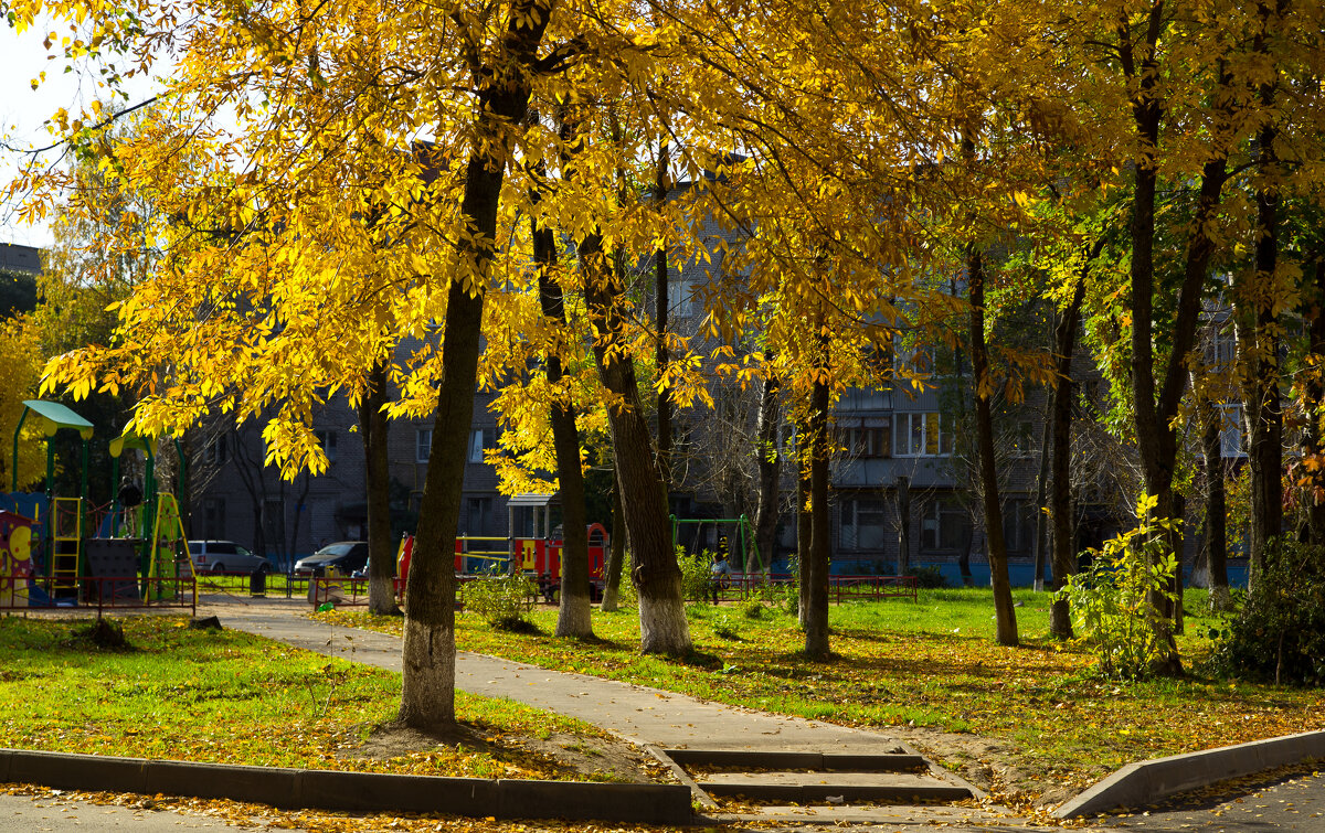 Осеннийт день - Александр Силинский