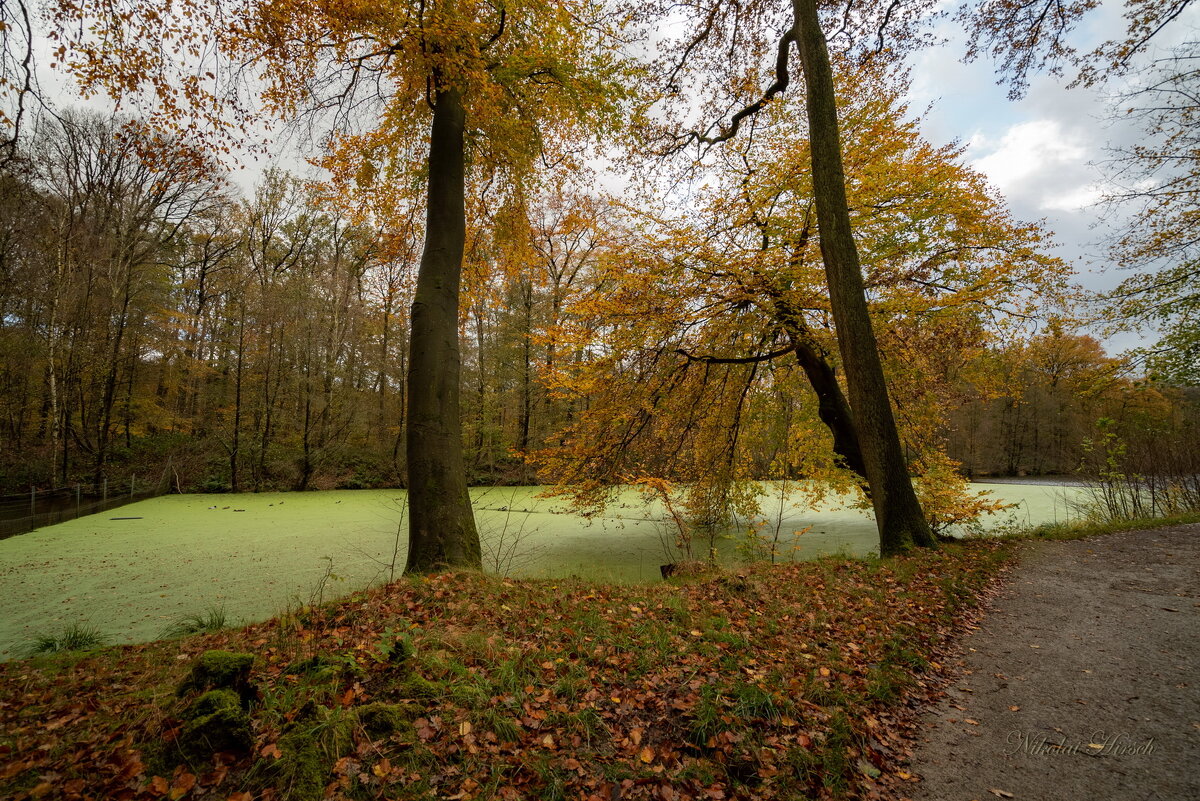 Во всей красе... - Николай Гирш