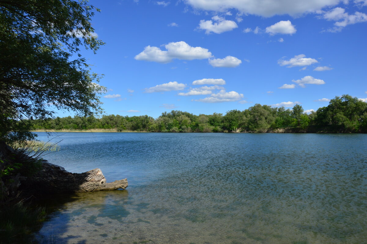 У реки. - Виктор 