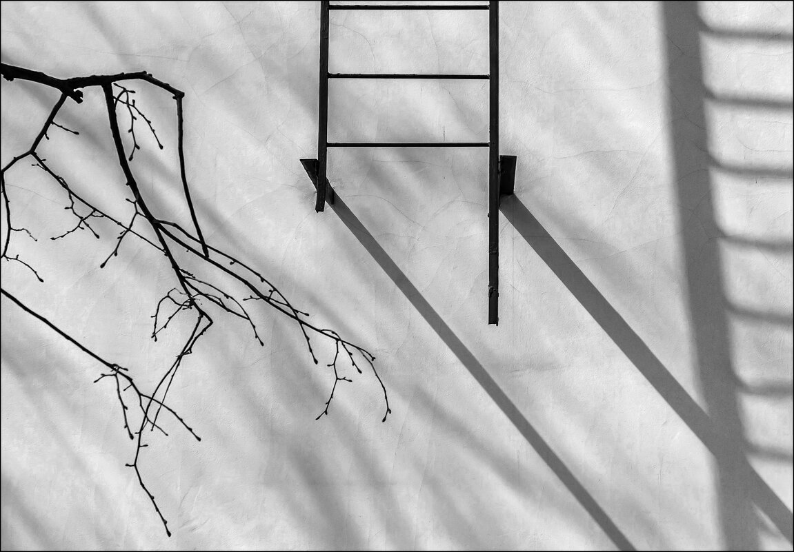 *** - Елена Демидова 