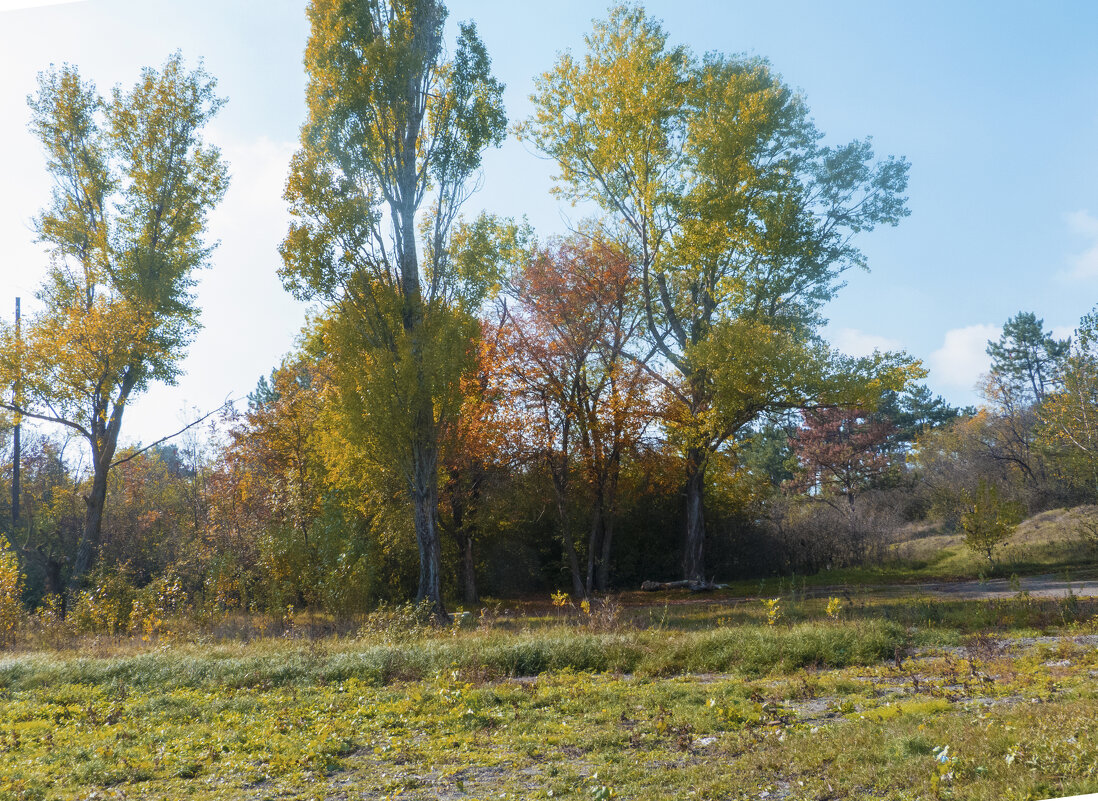 Природа  Крыма - Валентин Семчишин