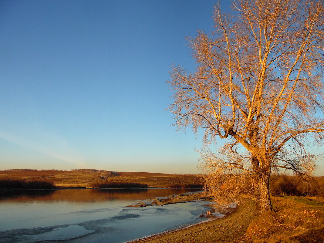 Вечерний бережок. - nadyasilyuk Вознюк Вечерний бережок. - nadyasilyuk Вознюк