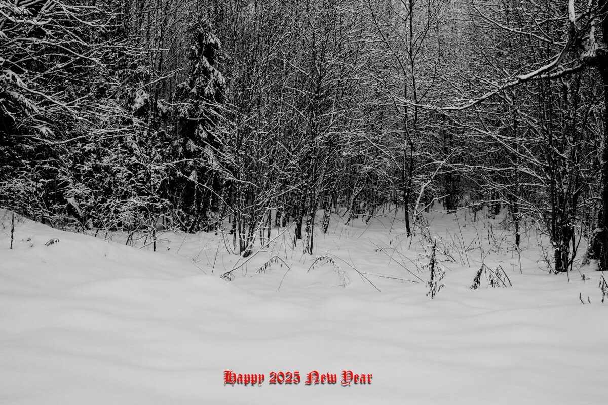 ---С Новым годом--- - AL Reborn 