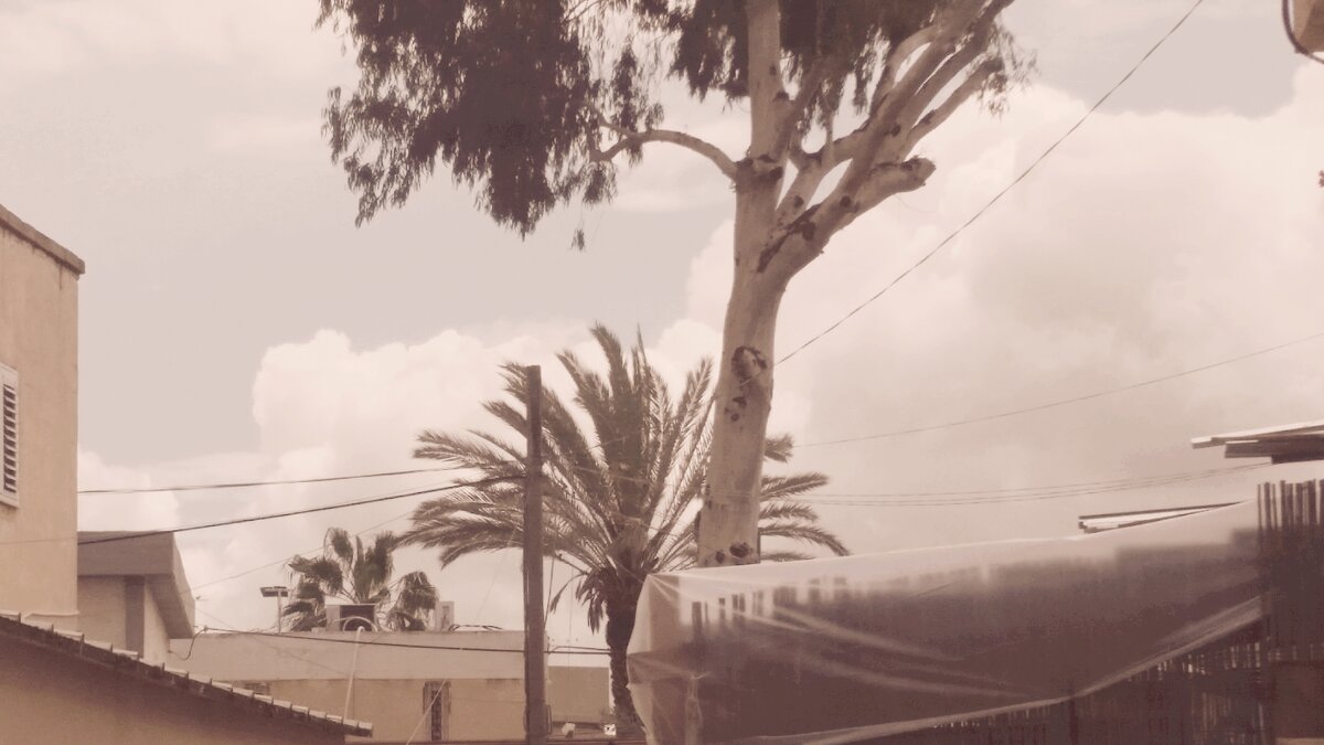 12  КЛОС (367) - CLOSE WAYS ALL