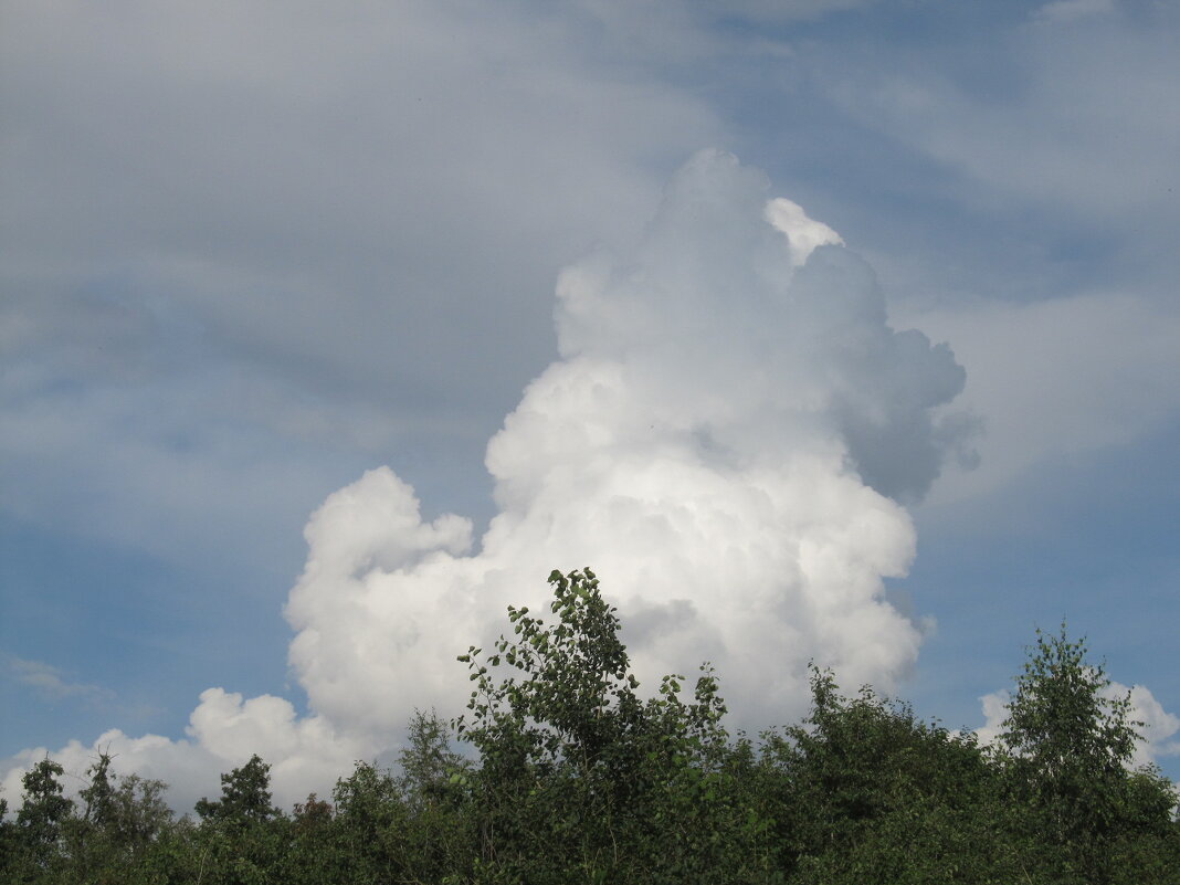 куча-мала - Елена Шаламова