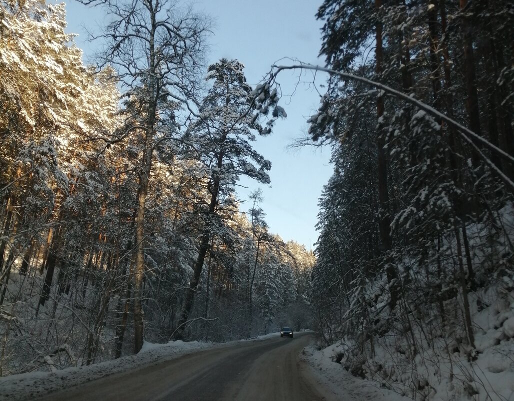 в дороге - Ольга Гомзина