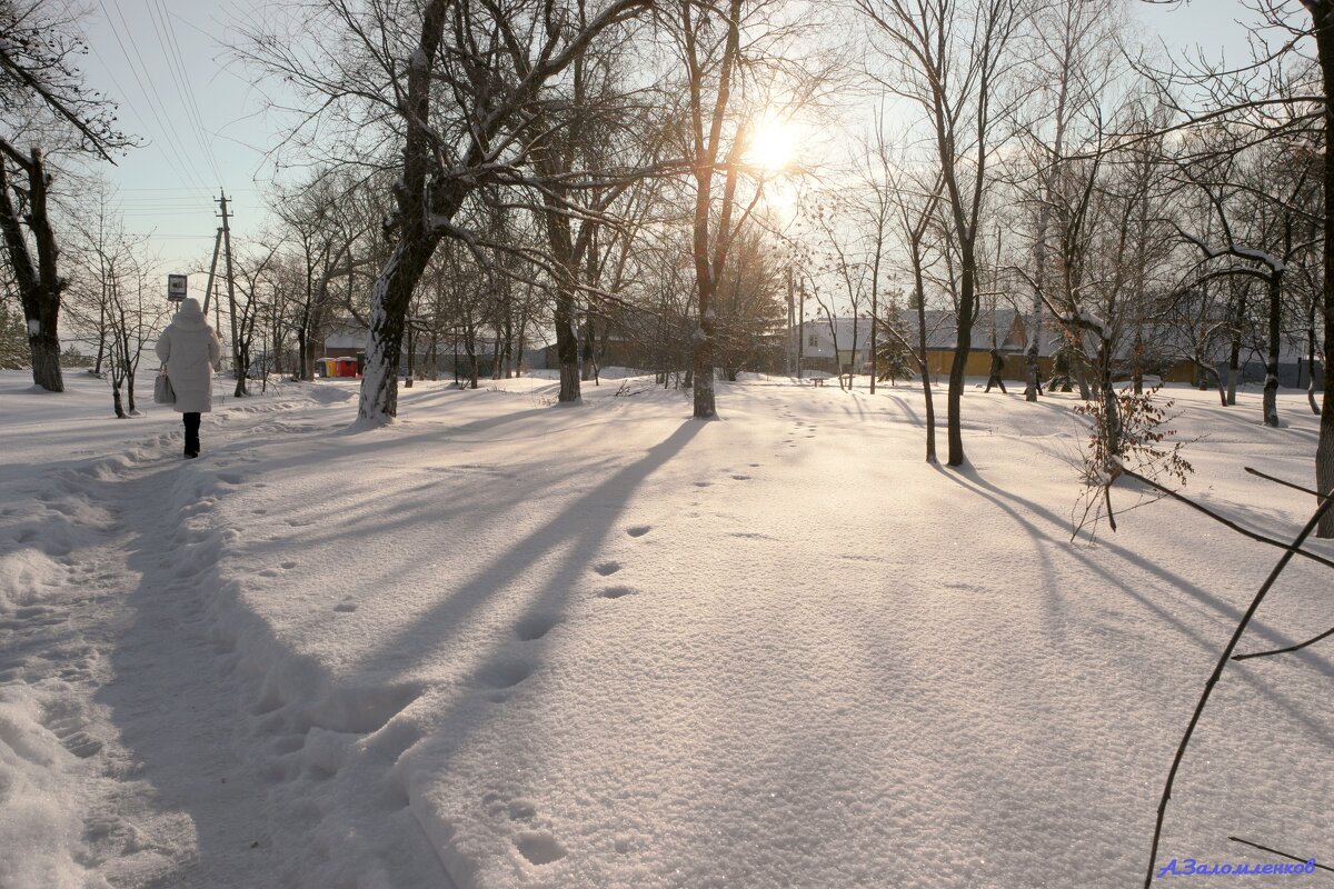 На рассветах января... - Андрей Заломленков На рассветах января... - Андрей Заломленков
