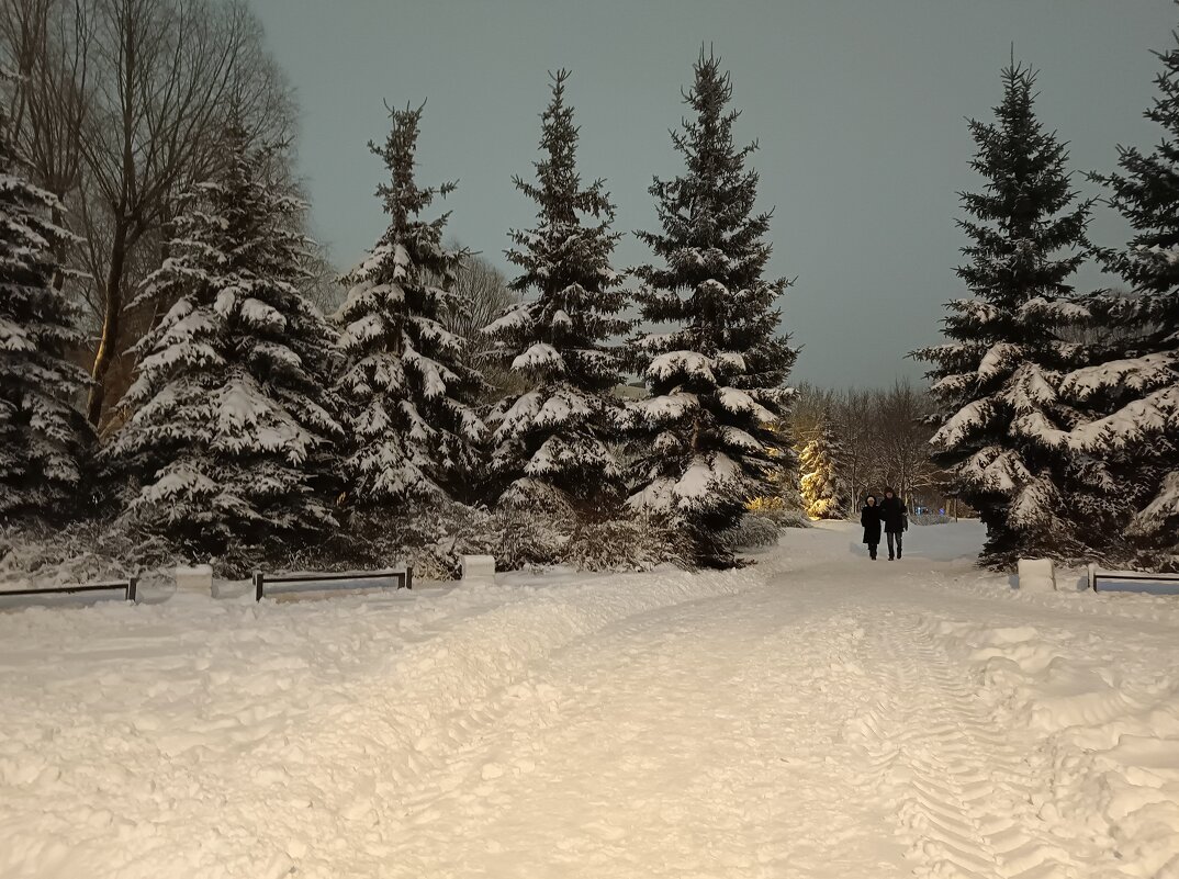 Вечером в сквере... - Мария Васильева