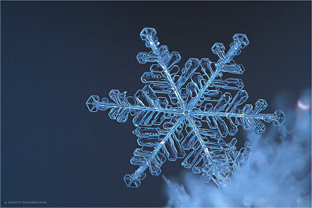 Снежинка - Андрей Пристяжнюк Снежинка - Андрей Пристяжнюк