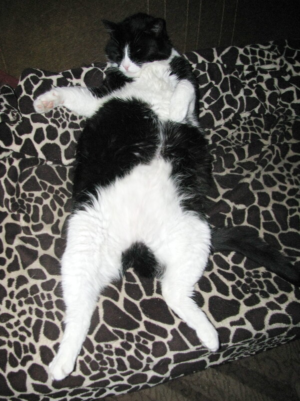 Кайф - Людмила Смородинская