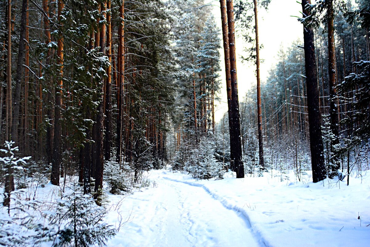 *** - Александр *** - Александр
