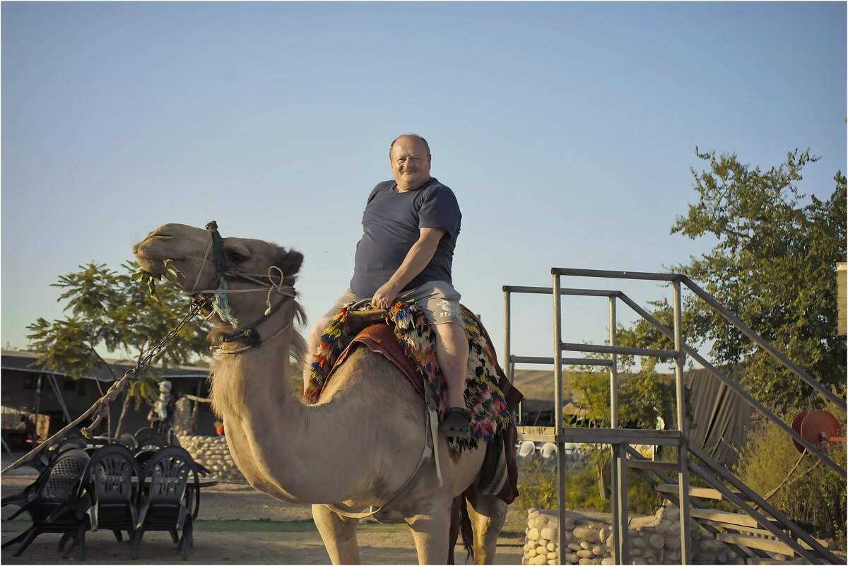 Я на  верблюде - ujgcvbif 