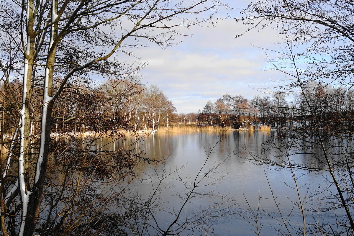 Январь, окрестности Калининграда - Рита Симонова