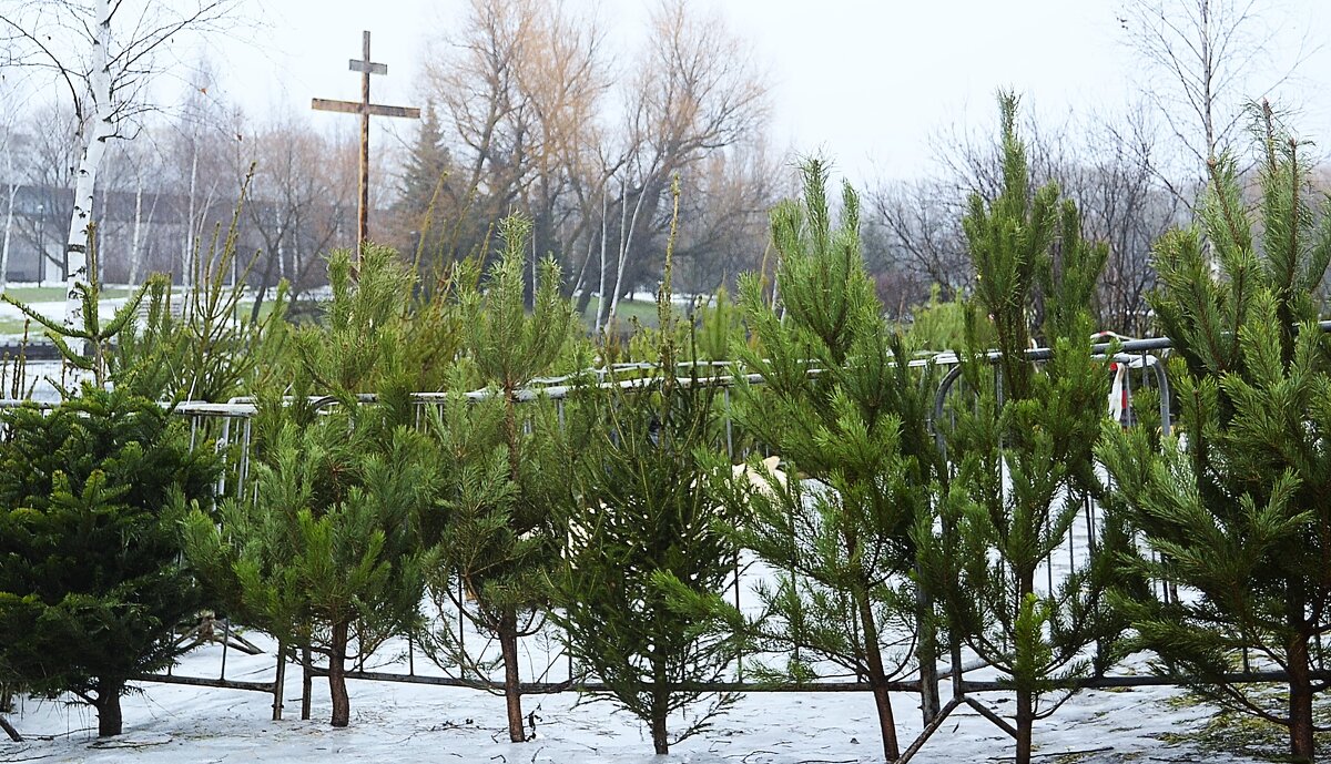 Возле крещенской купели. - Василий Палий Возле крещенской купели. - Василий Палий