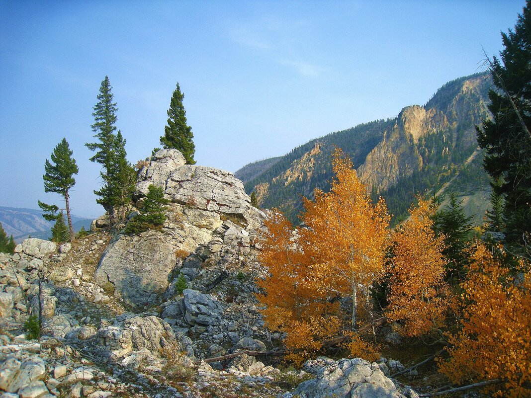 Кусочек американского парка Йеллоустон. - unix (Илья Утропов) Кусочек американского парка Йеллоустон. - unix (Илья Утропов)