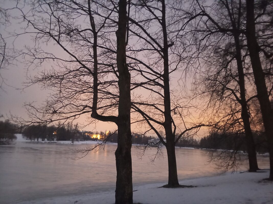 Зима - Сапсан 