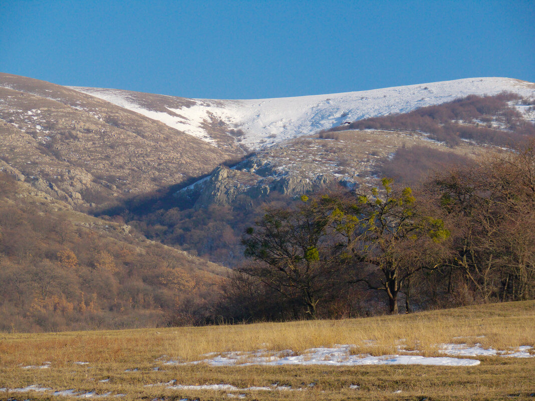 ностальгия - Всеволод 