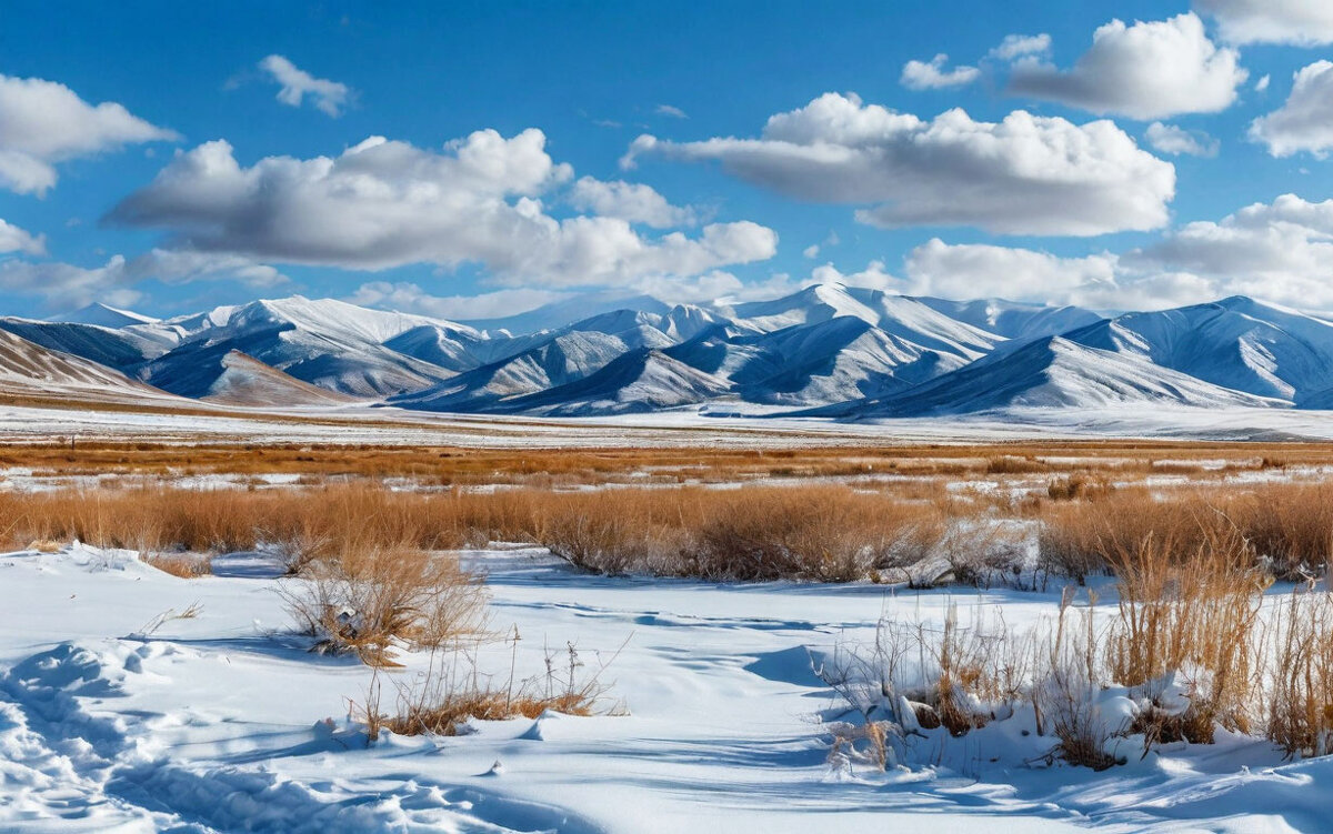 Зимний пейзаж - Ольга 