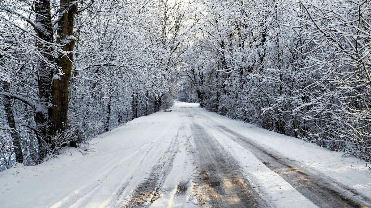 Дорога в деревне (репортаж из поездок по области) - Милешкин Владимир Алексеевич 