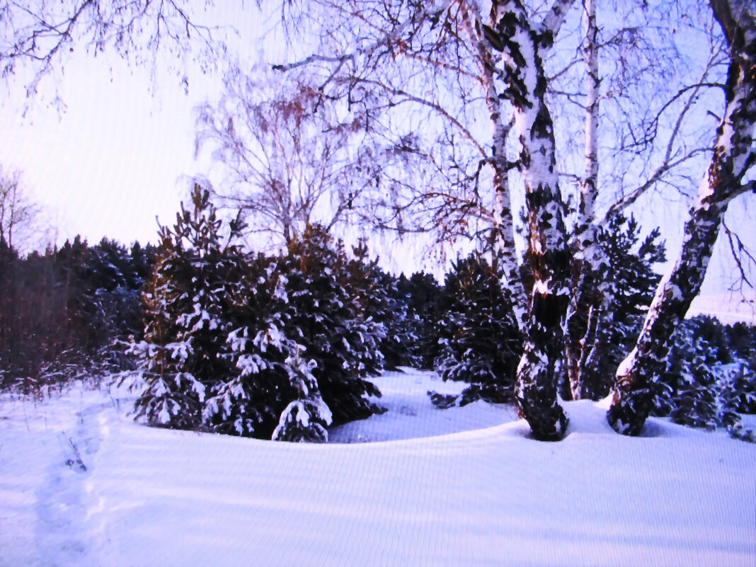 Зима - Людмила Смородинская