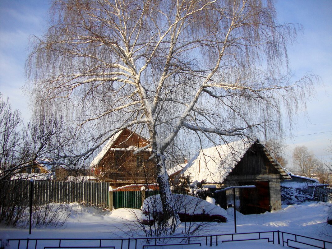 ... - Галина Флора ... - Галина Флора