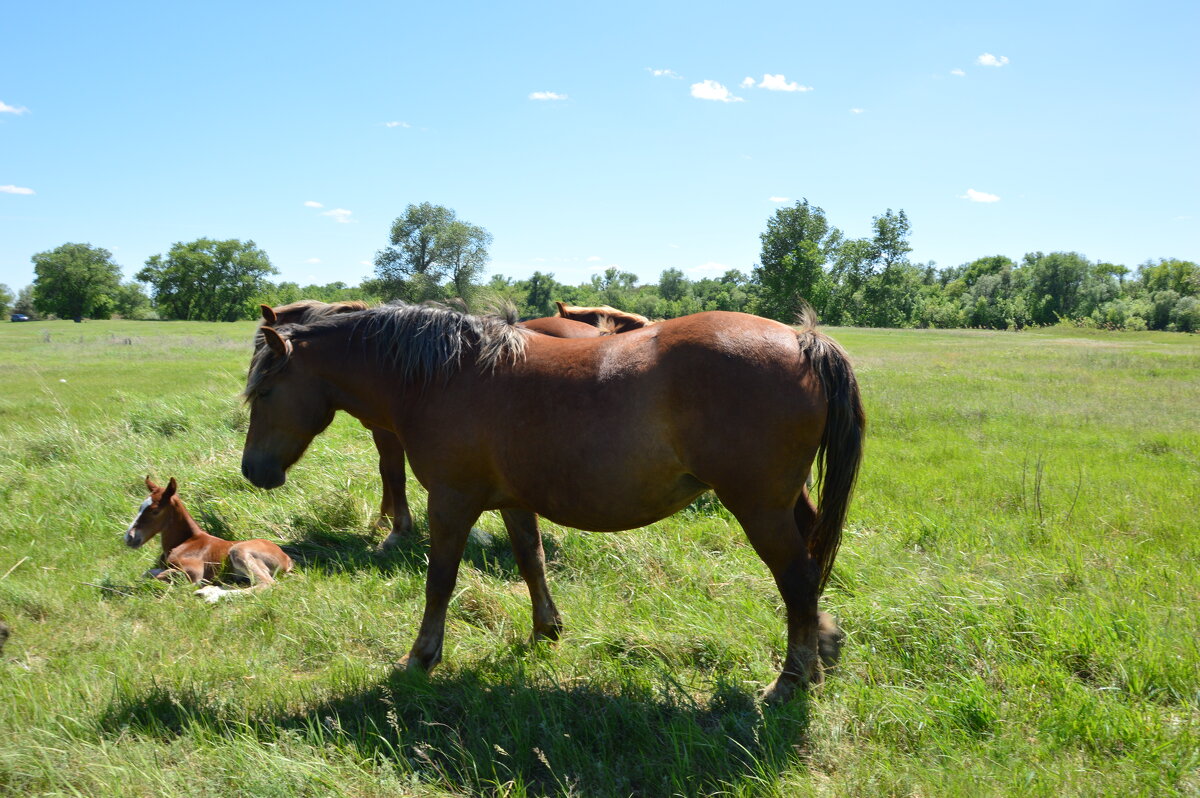 Первая Весна! - Виктор 