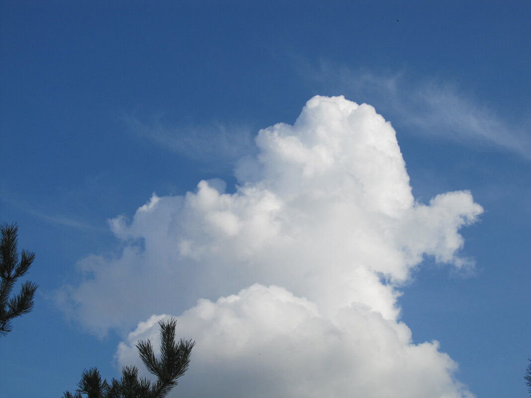 слоник - Елена Шаламова