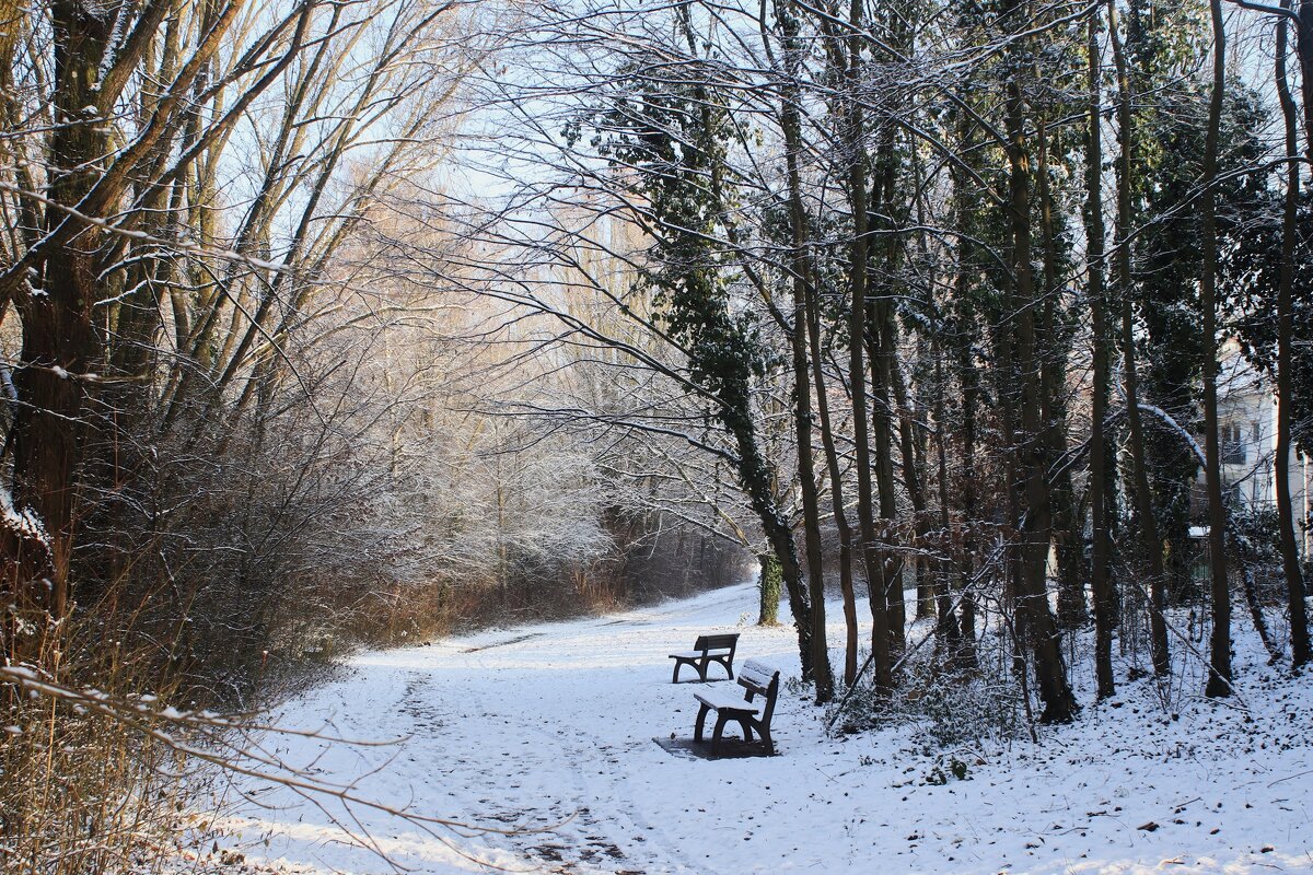 О зиме и скамейках - Юрий. Шмаков О зиме и скамейках - Юрий. Шмаков