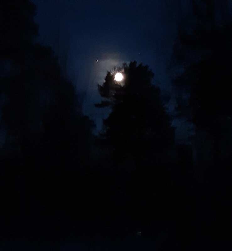 Полнолуние 14.01.2025 - Галина Минчук Полнолуние 14.01.2025 - Галина Минчук