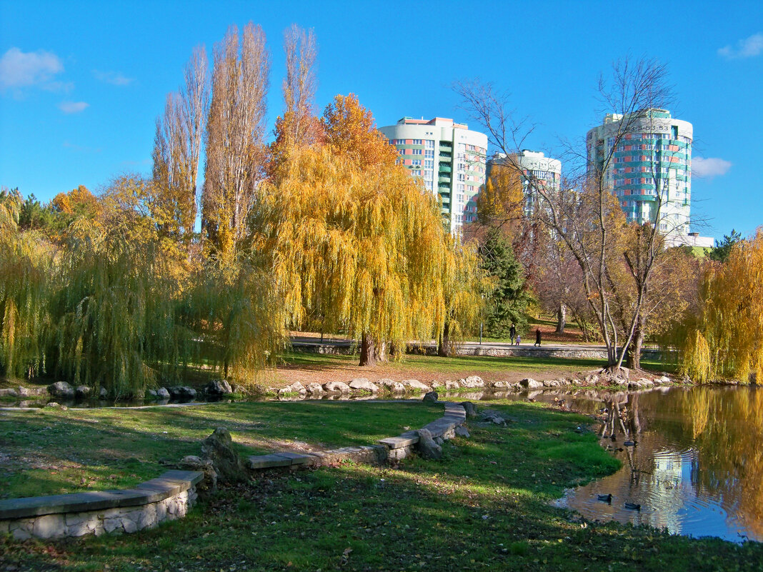 Природа  парка Гагарина - Валентин Семчишин