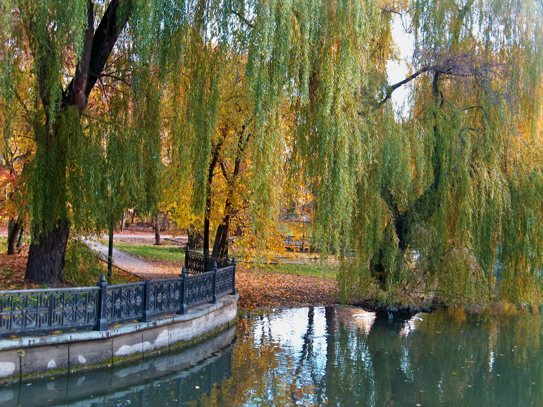 Пейзажи Гагаринского парка - Валентин Семчишин Пейзажи Гагаринского парка - Валентин Семчишин
