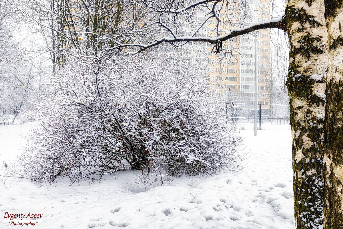 Зима в городе - Евгений Зима в городе - Евгений