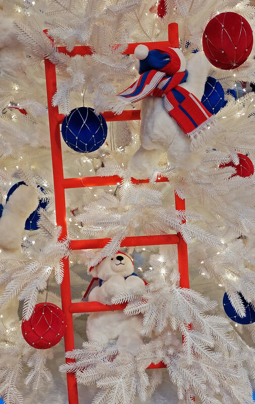 Пора ёлку разбирать? - ИРЭН@ . Пора ёлку разбирать? - ИРЭН@ .