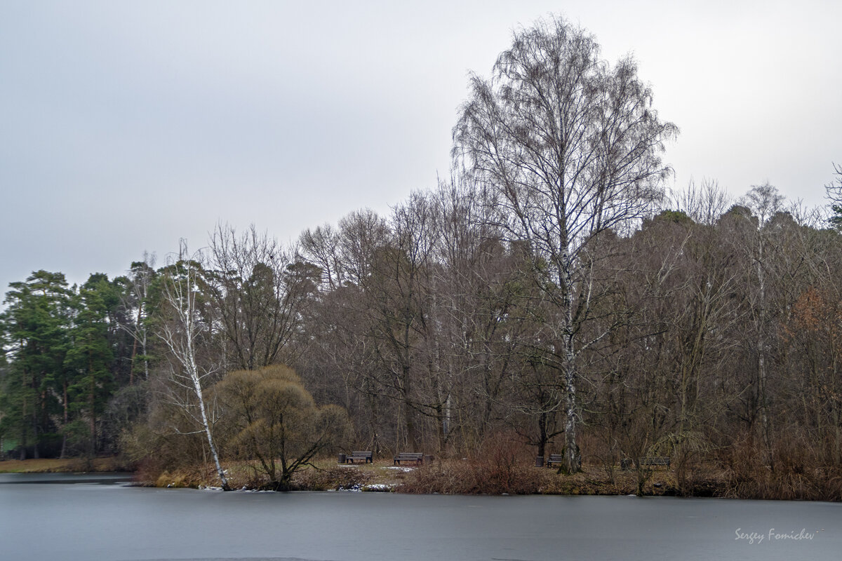 Декабрьский этюд. - Сергей Фомичев Декабрьский этюд. - Сергей Фомичев
