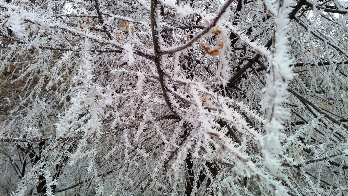 ,,, - Сергей Тимоновский