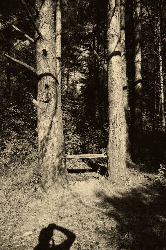 Название отсутствует - Денис Безногов Название отсутствует - Денис Безногов